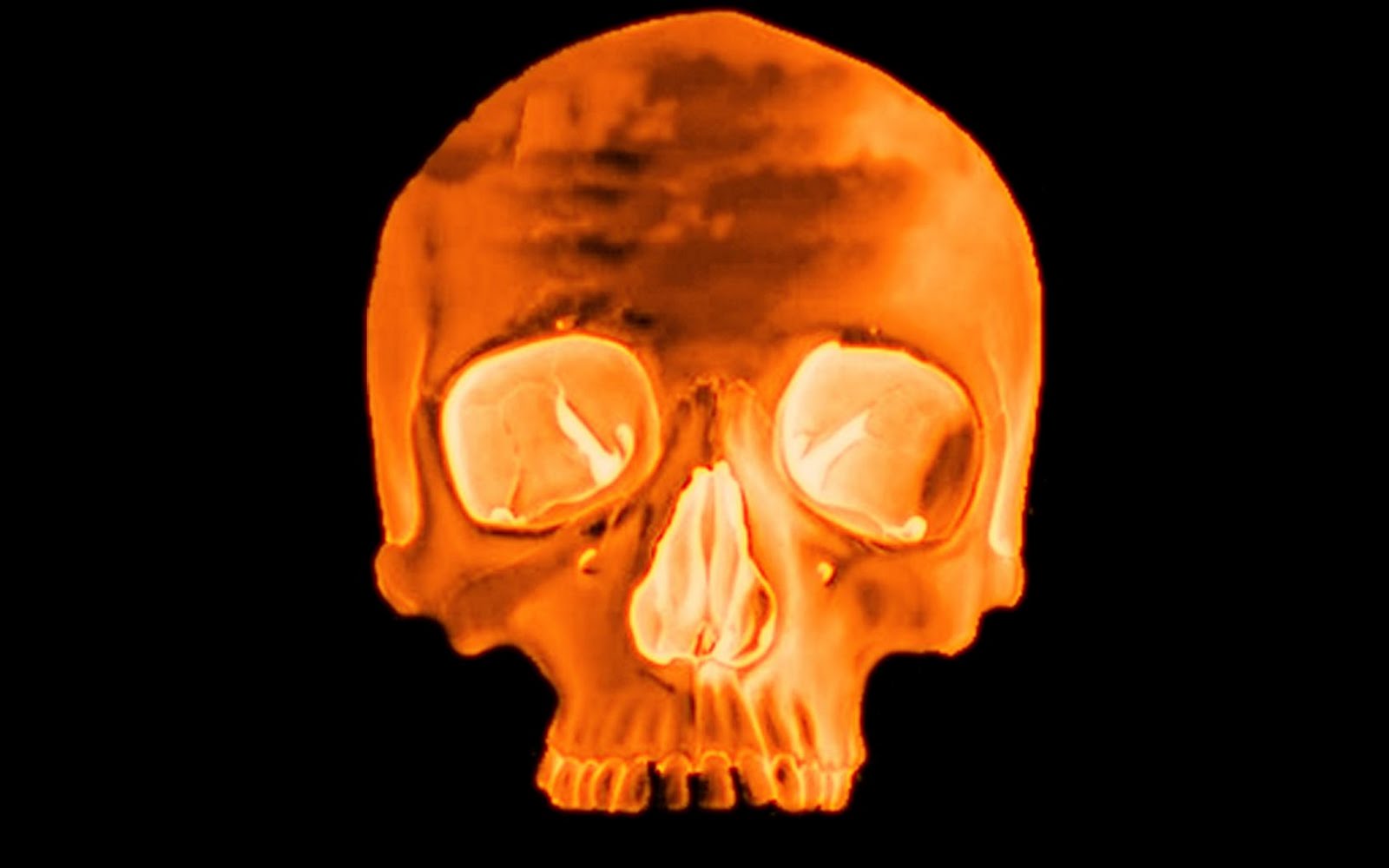 3d Fire Skull Wallpaper