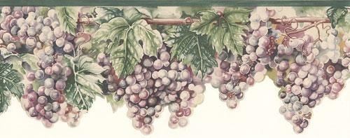 Wine Grapes On Vine Wallpaper Border Tuscan Winery