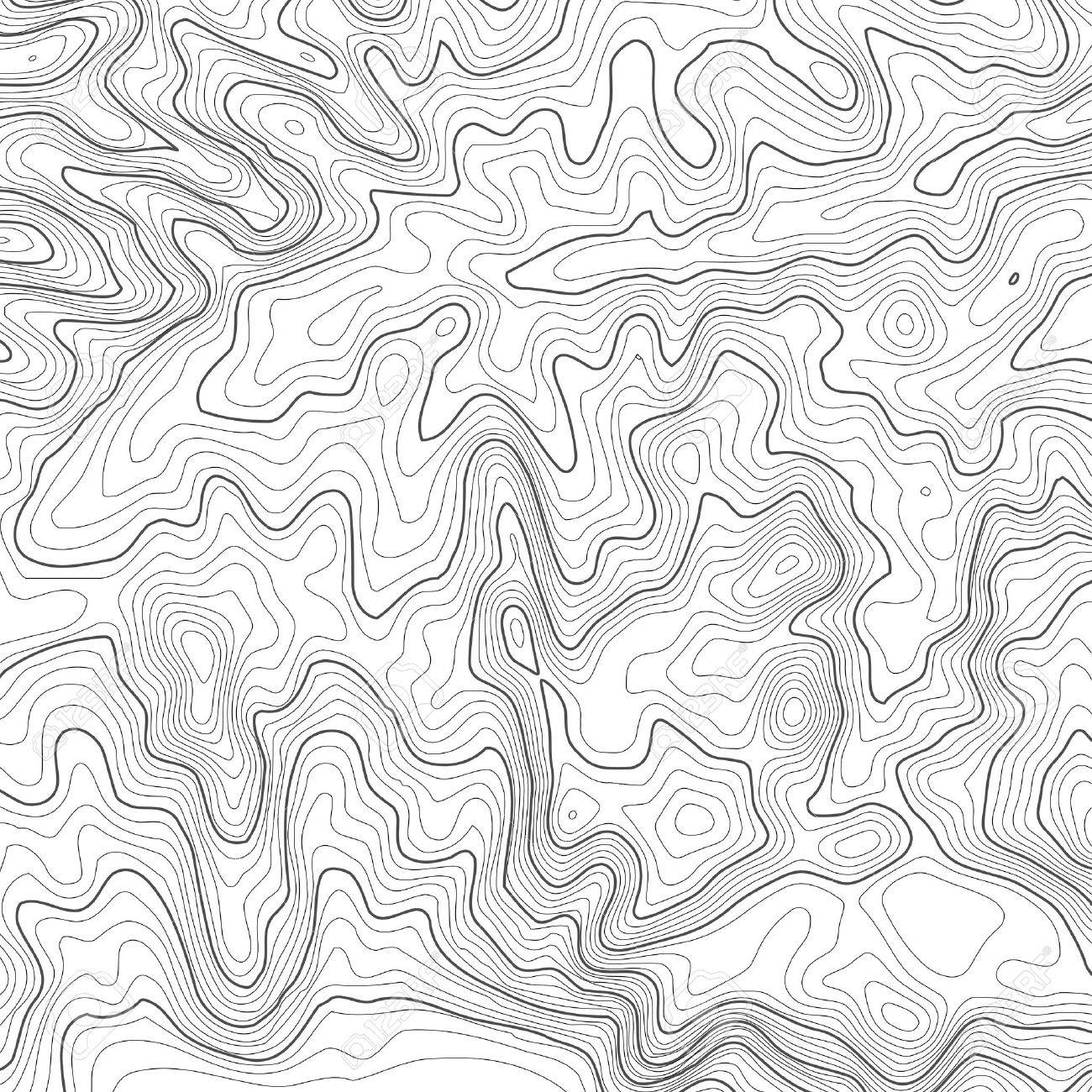 Topographic Map Contour Background Line Map With Elevation Geographic