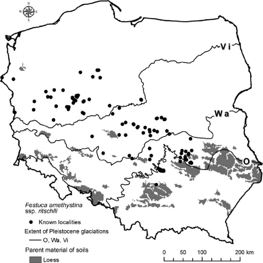 Distribution Of Festuca Amethystina Ssp Ritschlii On The