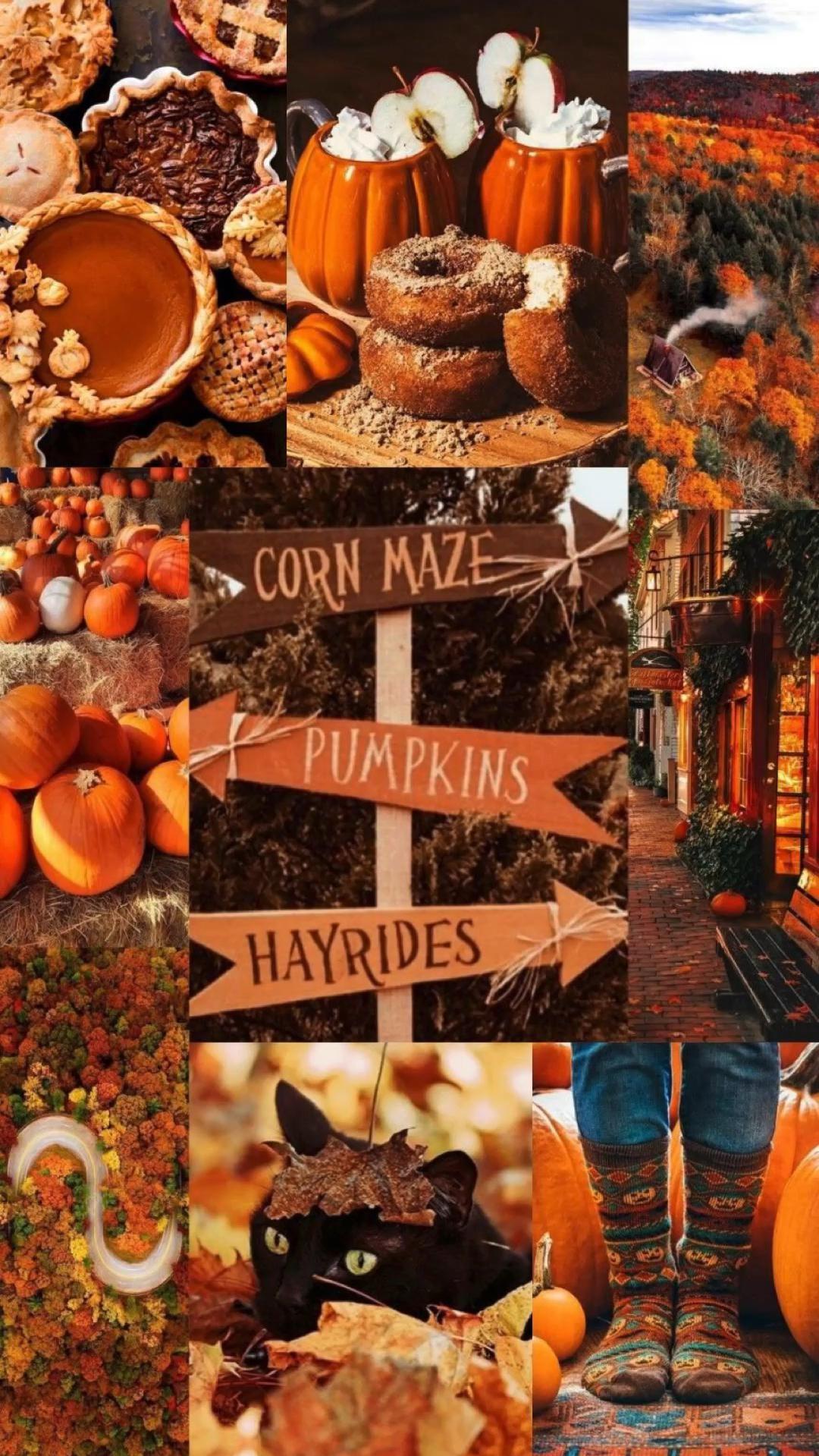 Spooky Season Aesthetic Wallpaper To Get You Ready For Fall