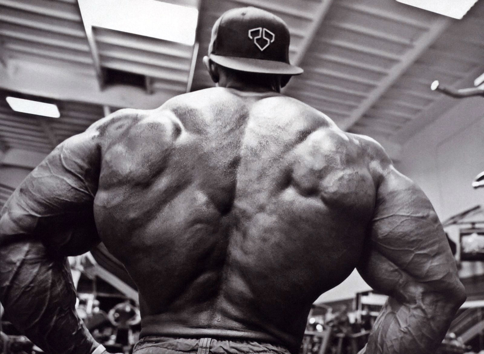 On July By Admin Comments Off Bodybuilding HD Wallpaper