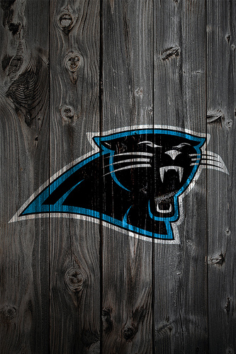 Carolina Panthers Wood iPhone Background A Photo On Iver