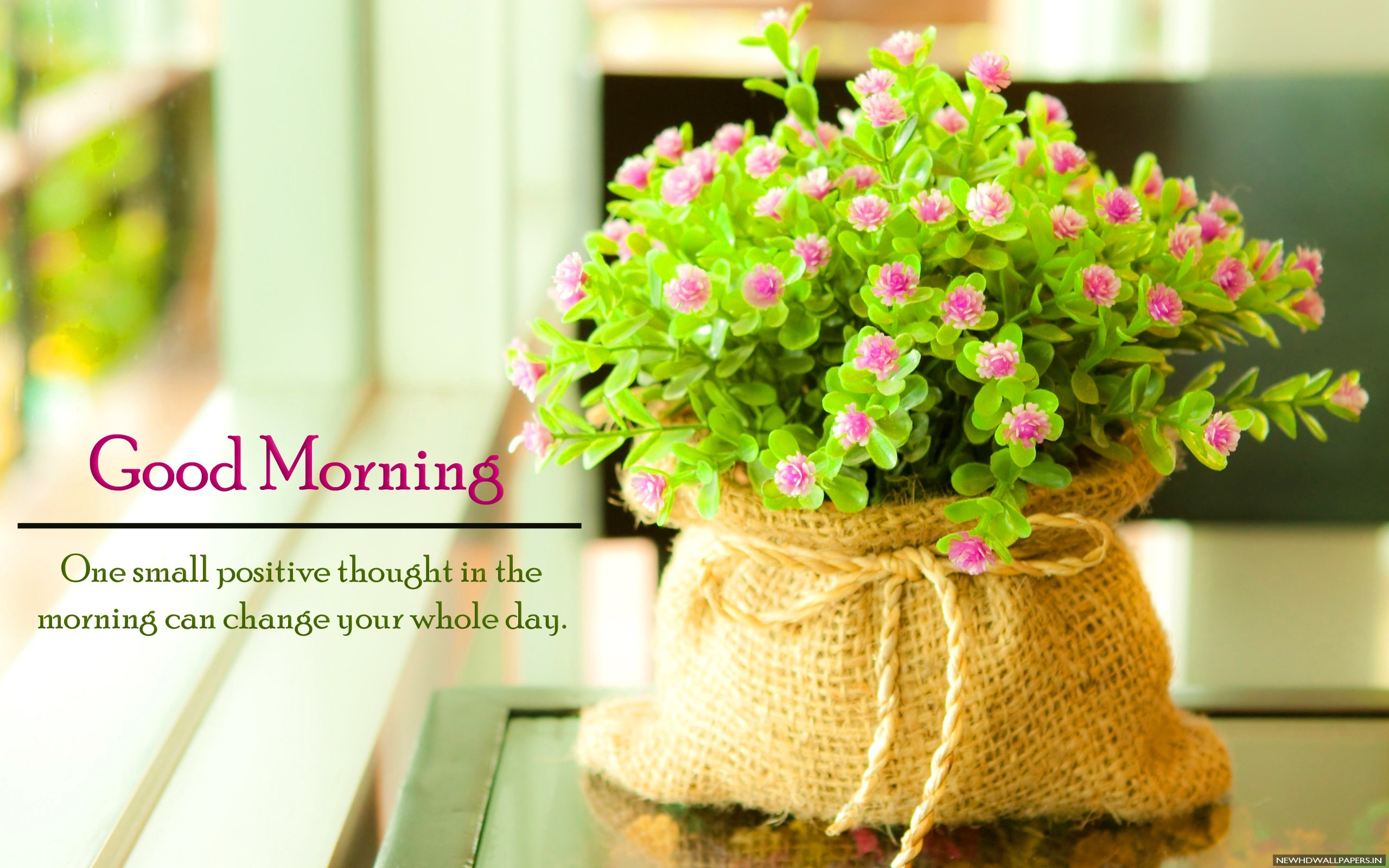Best Good Morning Quote Flowers HD Wallpaper New