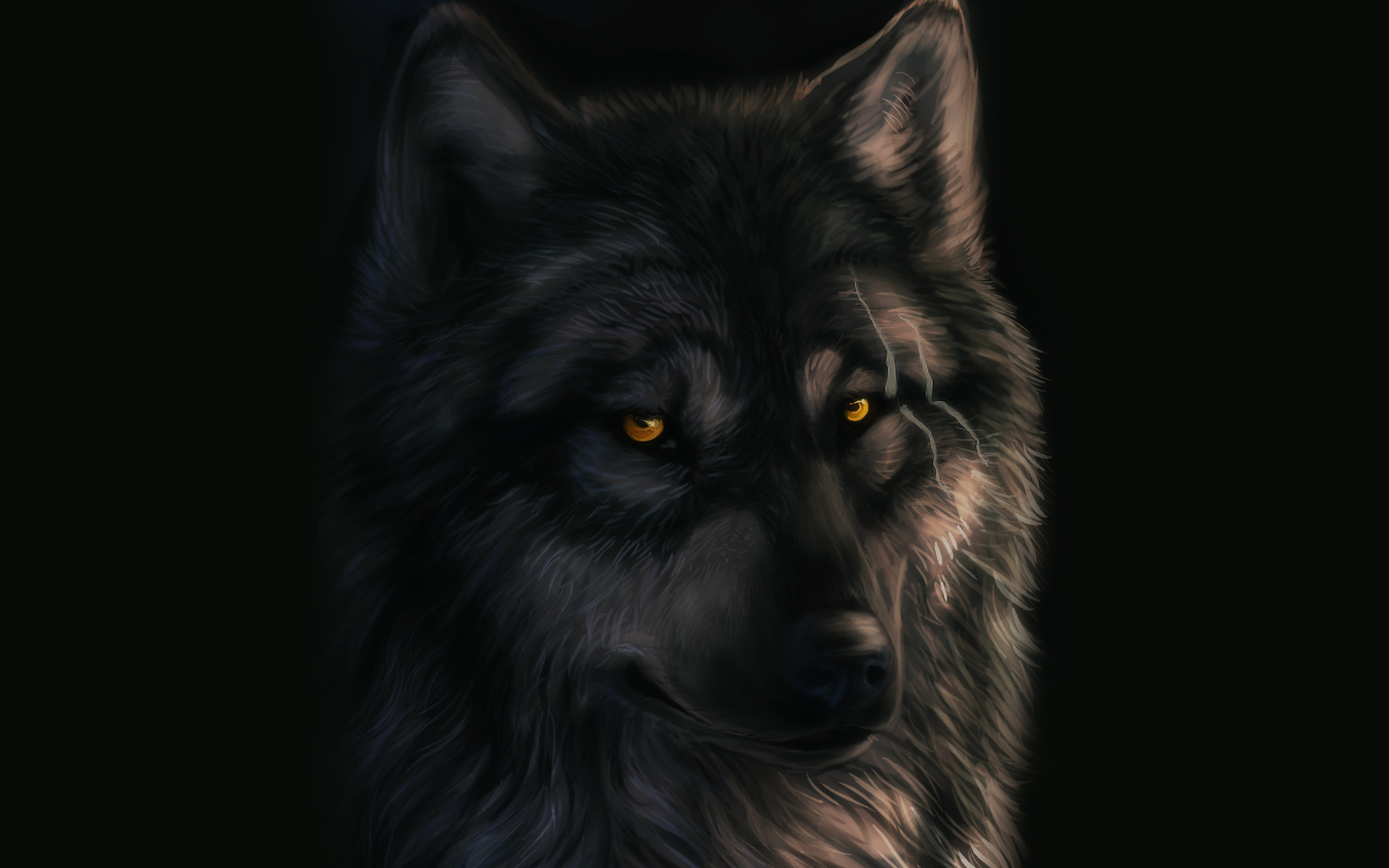 Dark Sheyn Deviantart Art Wolf Full