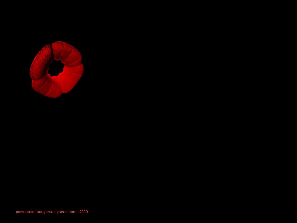 Remembrance Day Powerpoint Presentation Background