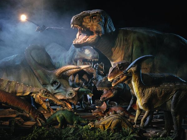 Cretaceous Period Photos Dinosaur National Geographic