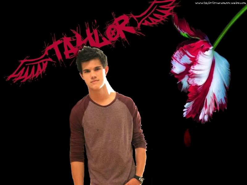 Taylor Lautner Background Wallpaper