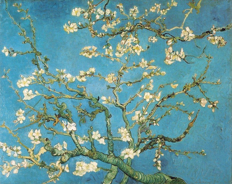 Van Gogh Apple Blossom Almond Wallpaper
