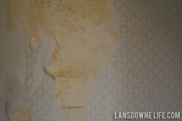 Peel Off Wallpaper
