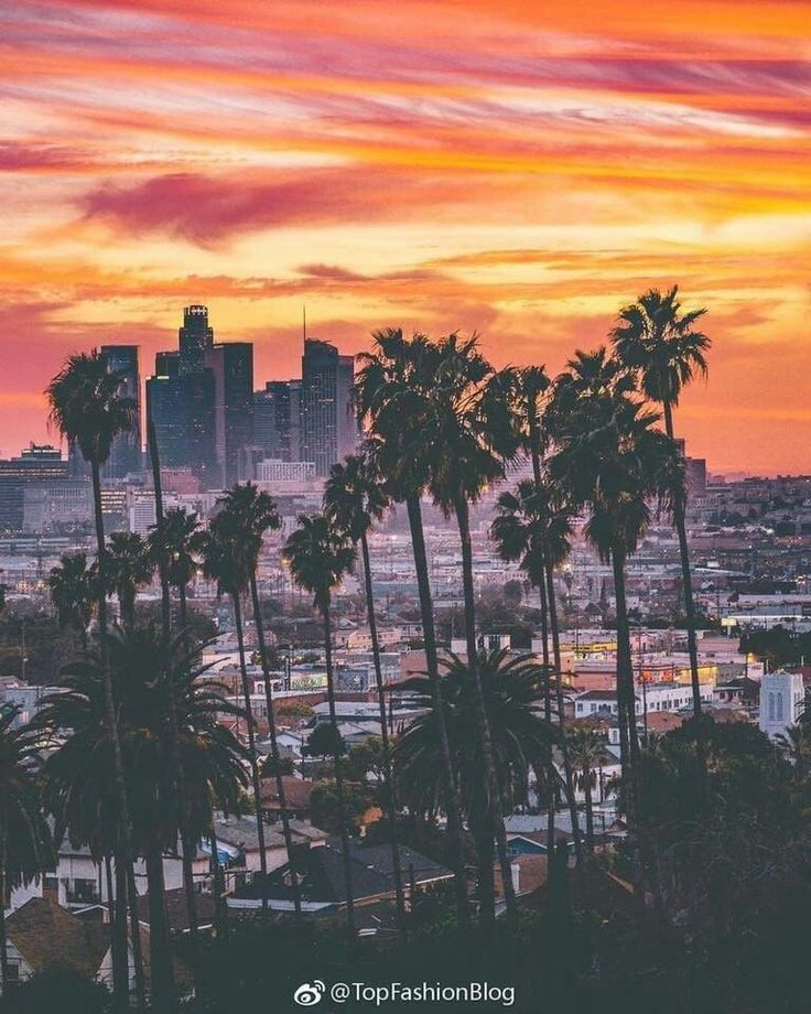 🔥 Free download Sunset Los angeles wallpaper Los angeles Nature ...