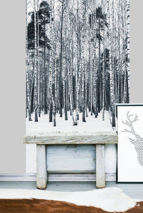 Birch Removable Wallpaper DD2