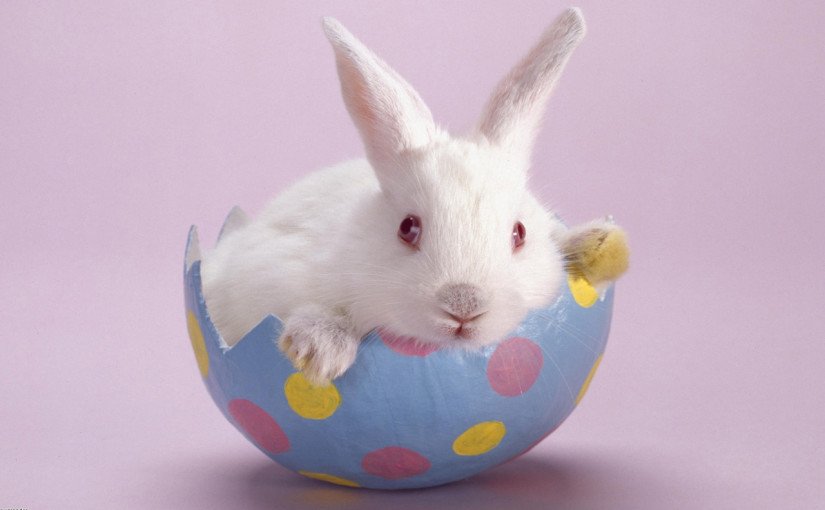 Cute Easter iPhone Wallpaper