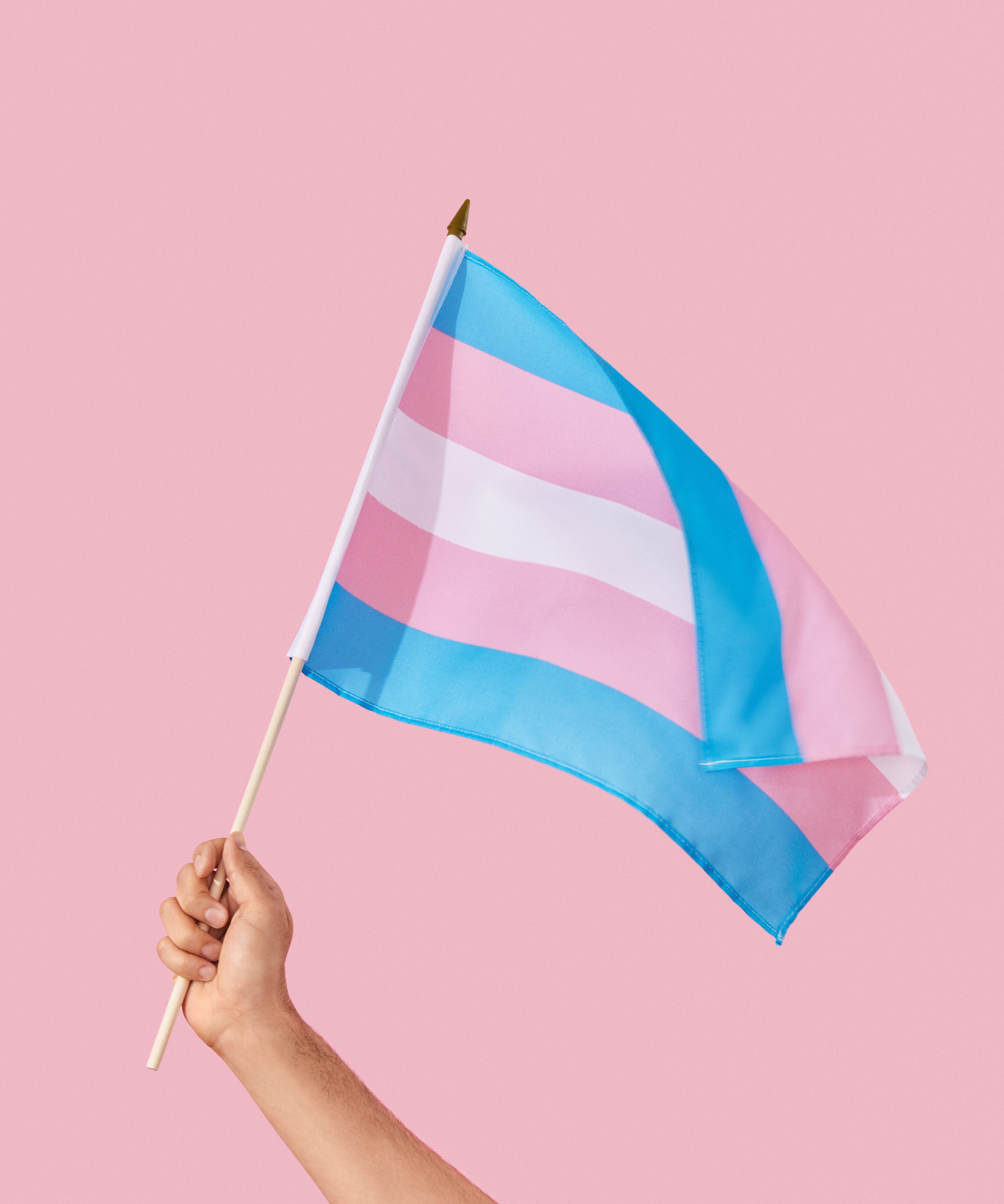 The History Of Transgender Pride Flag Wallpaper