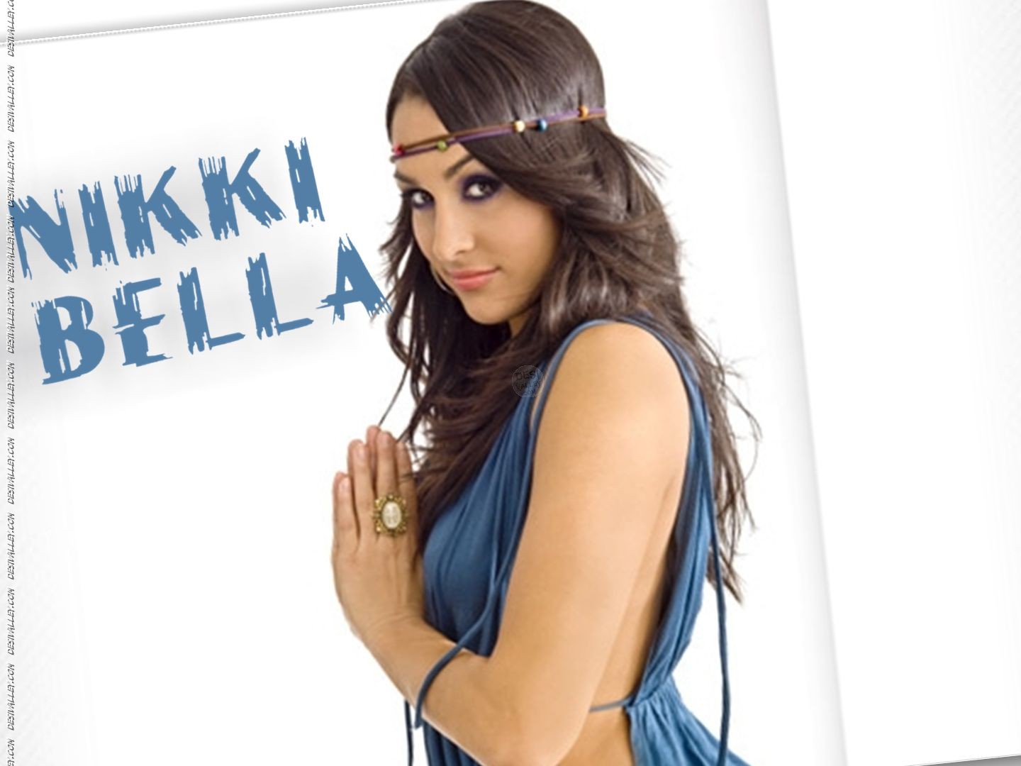 Wwe Nikki Bella Profile Wallpaper Wrestling Stars