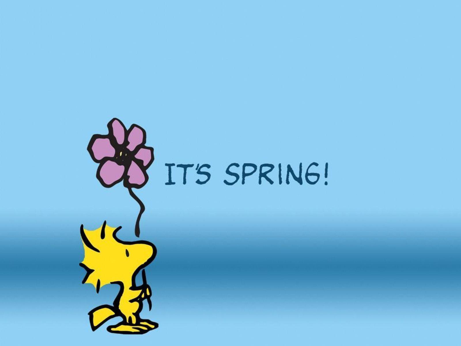 Snoopy Spring Wallpaper
