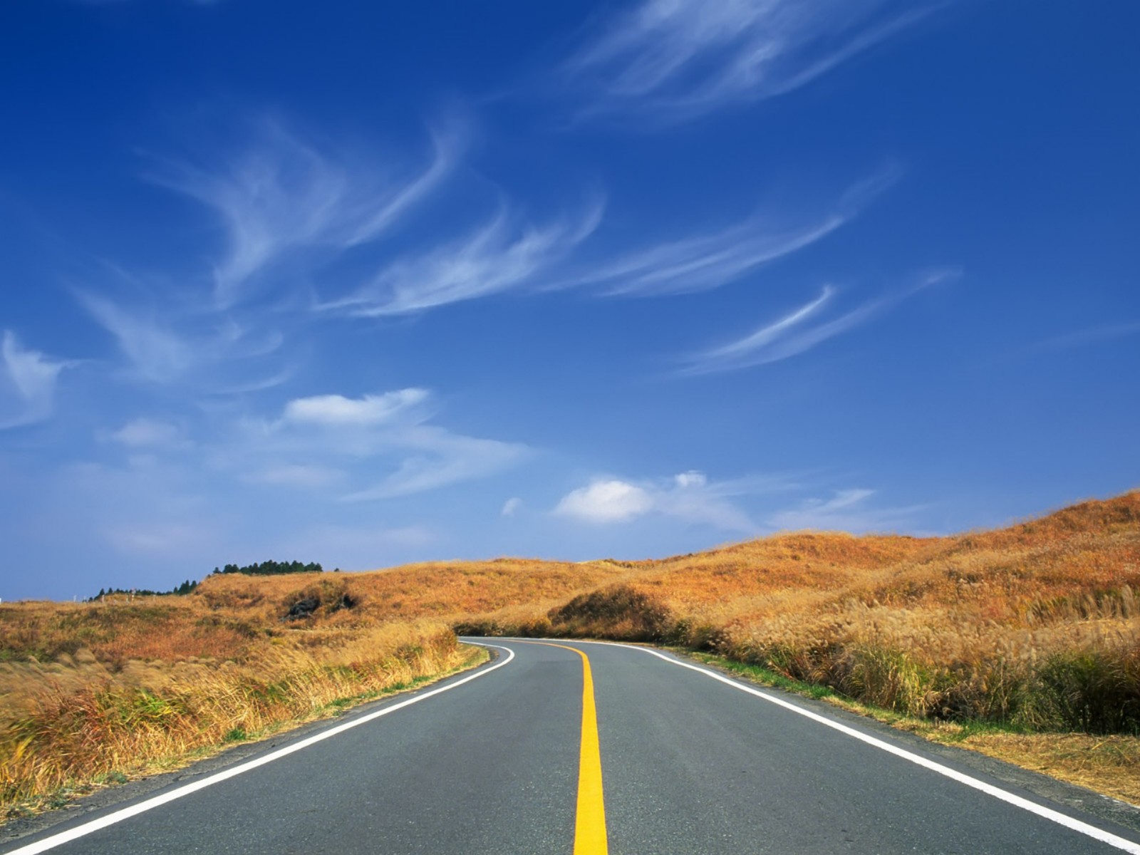  Download Estrada Papel De Parede Nature Background With Road By 