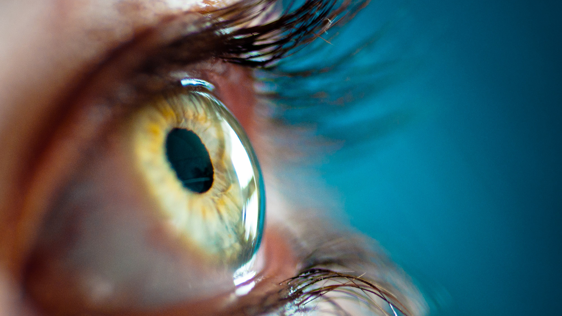 Eye Retina Iris HD Wallpaper 1080p HD Wallpapers