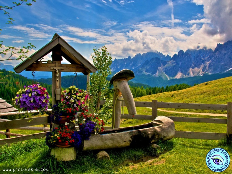 Summer In Italy Picture Wallpaper Resolution