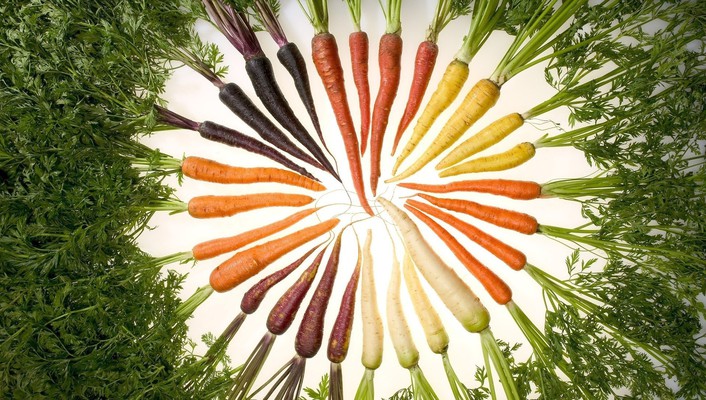 Carrots Vegetables Wallpaper Allwallpaper In Pc