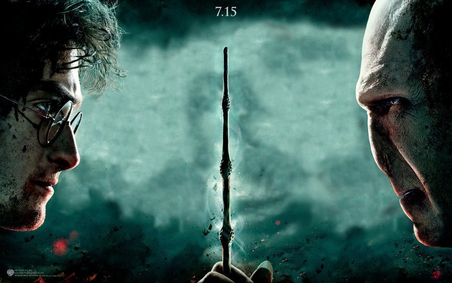 Hp7 Wallpaper Harry And Voldemort Potter Photo