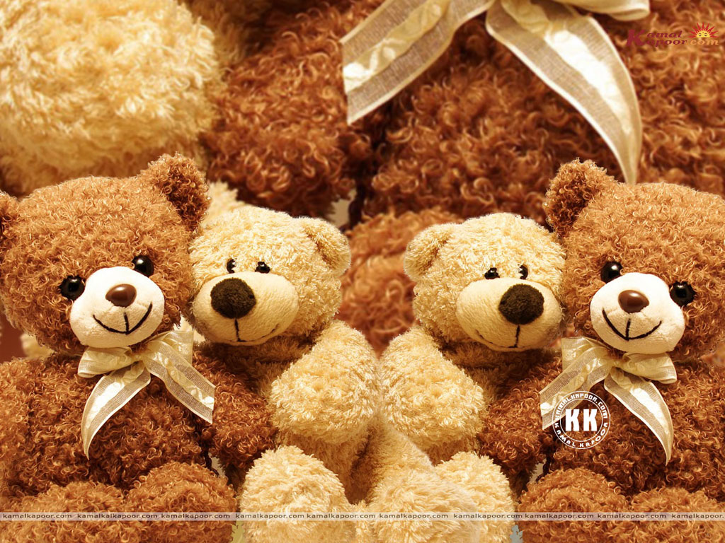 Bear Colour Wallpaper Teddy Desktop Cute