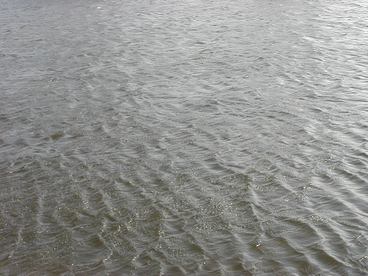Image Of Dull Grey Water Background Texture