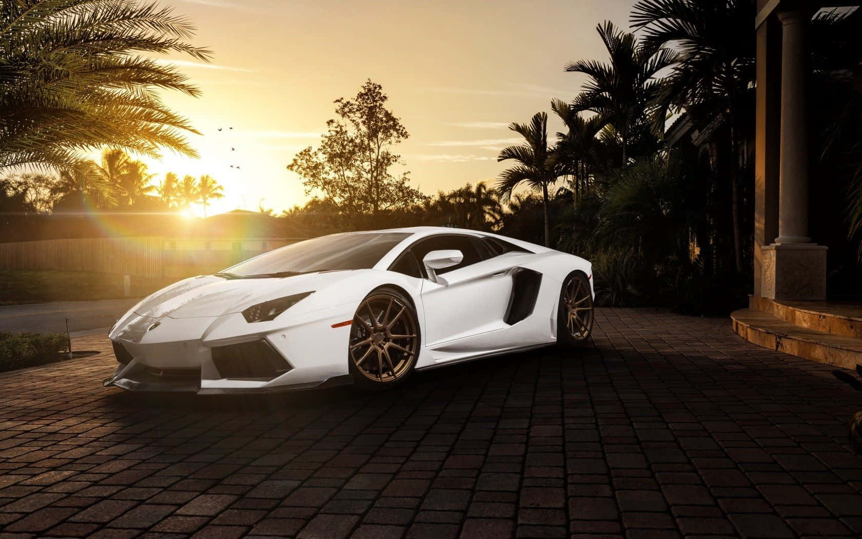 Cool Lamborghini Wallpaper