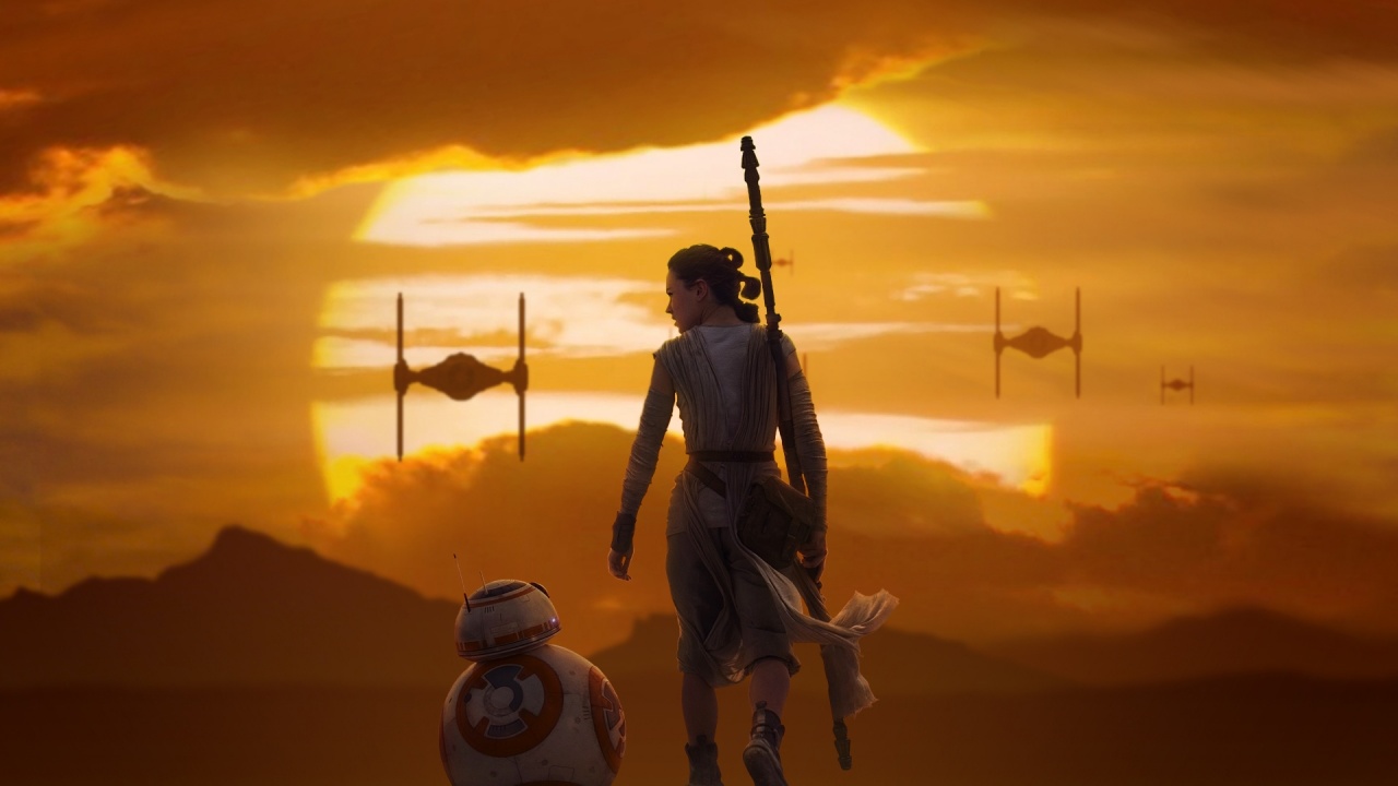 Rey BB 8 Star Wars The Force Awakens Wallpapers HD Wallpapers
