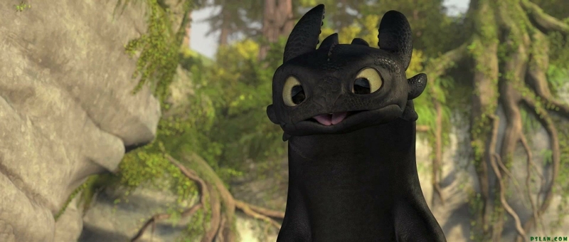 Dragon Toothless How To Train Your Wallpaper