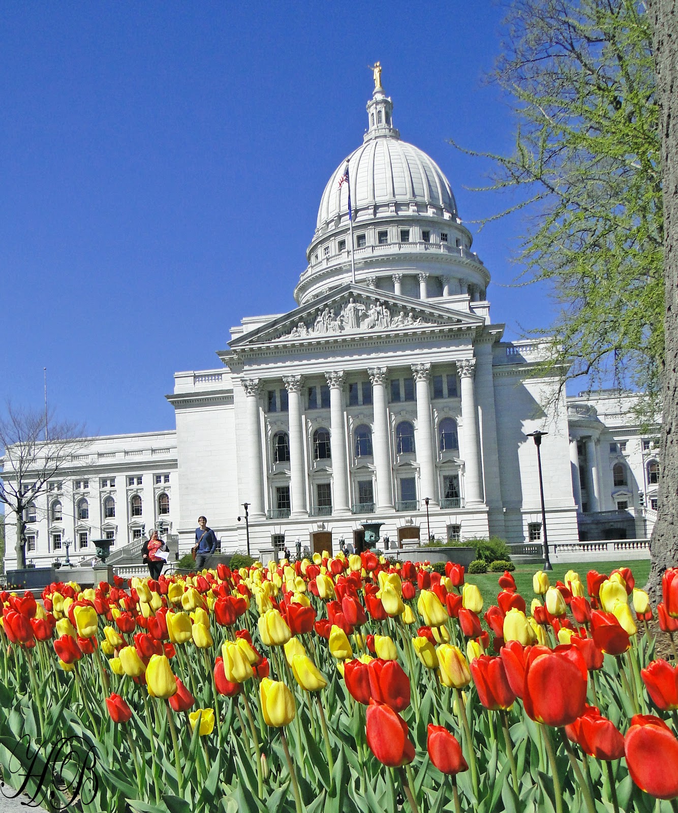 Download image Madison Wi PC Android iPhone and iPad Wallpapers and