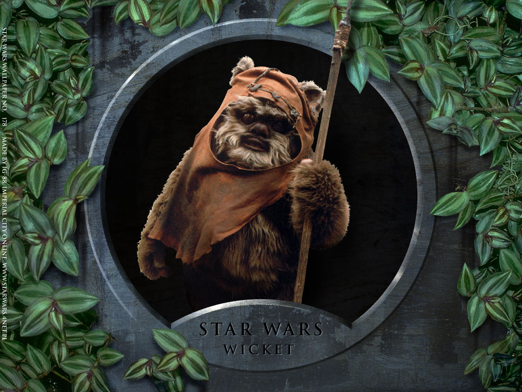 Picture Of Ewok Background Images HD Pictures and Wallpaper For Free  Download  Pngtree