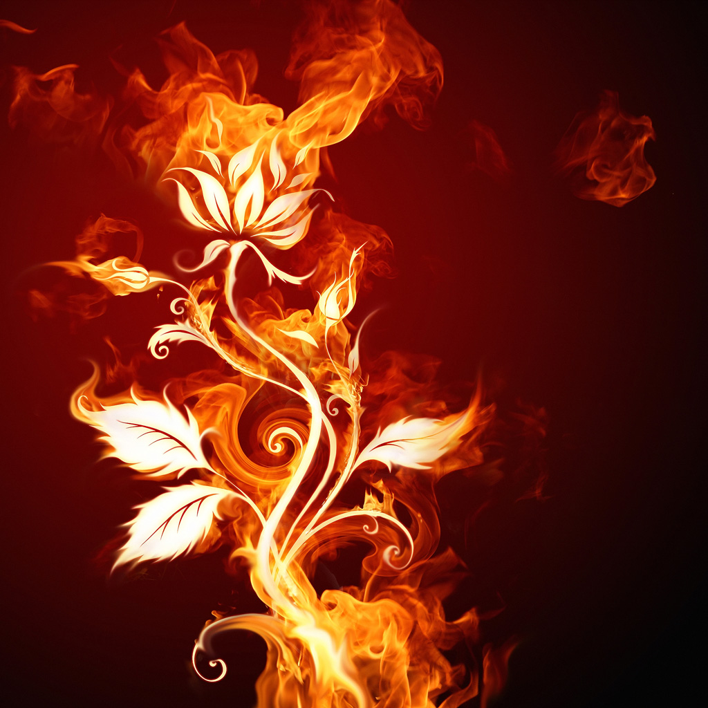 Fiery Flower iPadwallpaper Me