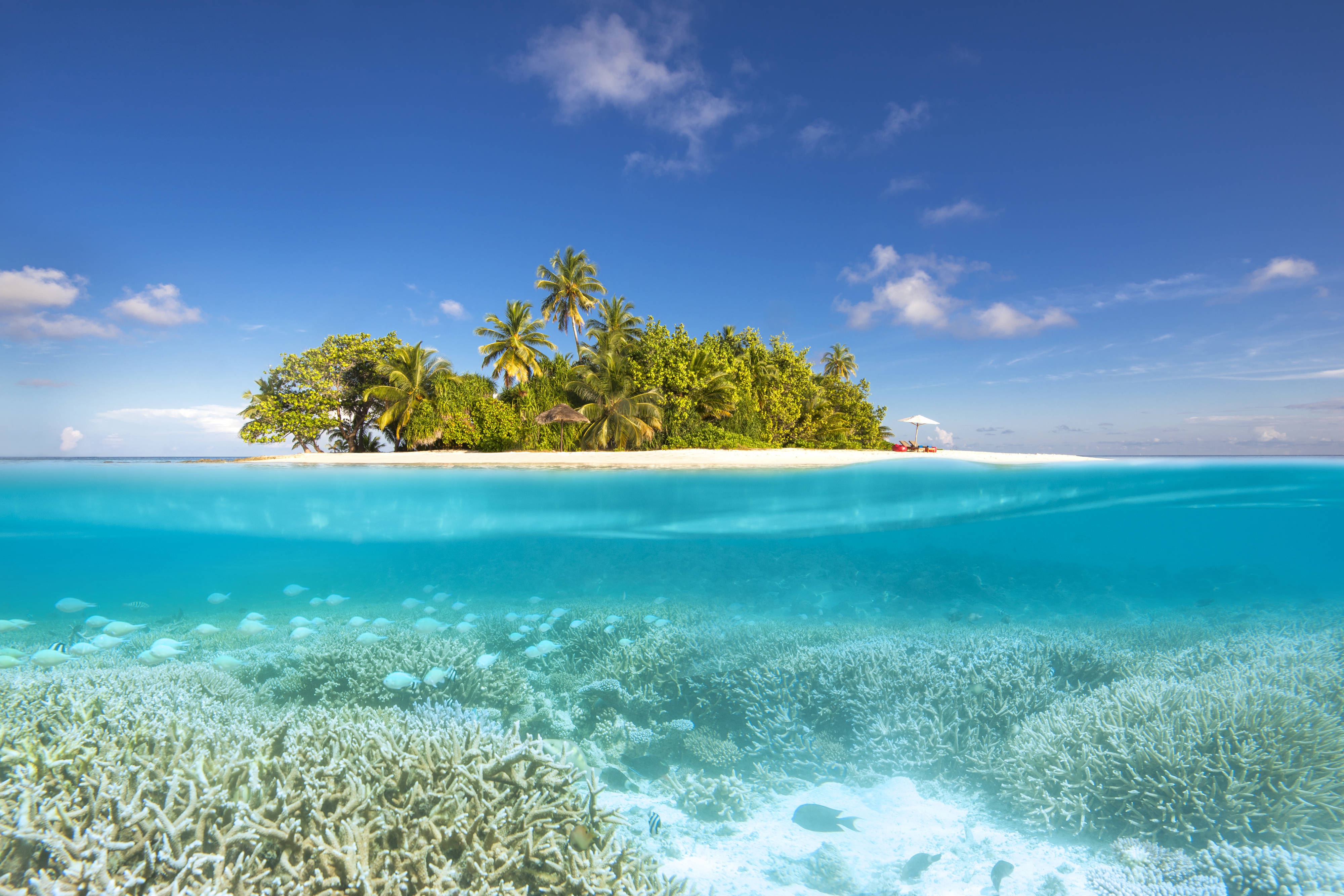 Tropical island paradise with lush vegetation and vibrant coral reef