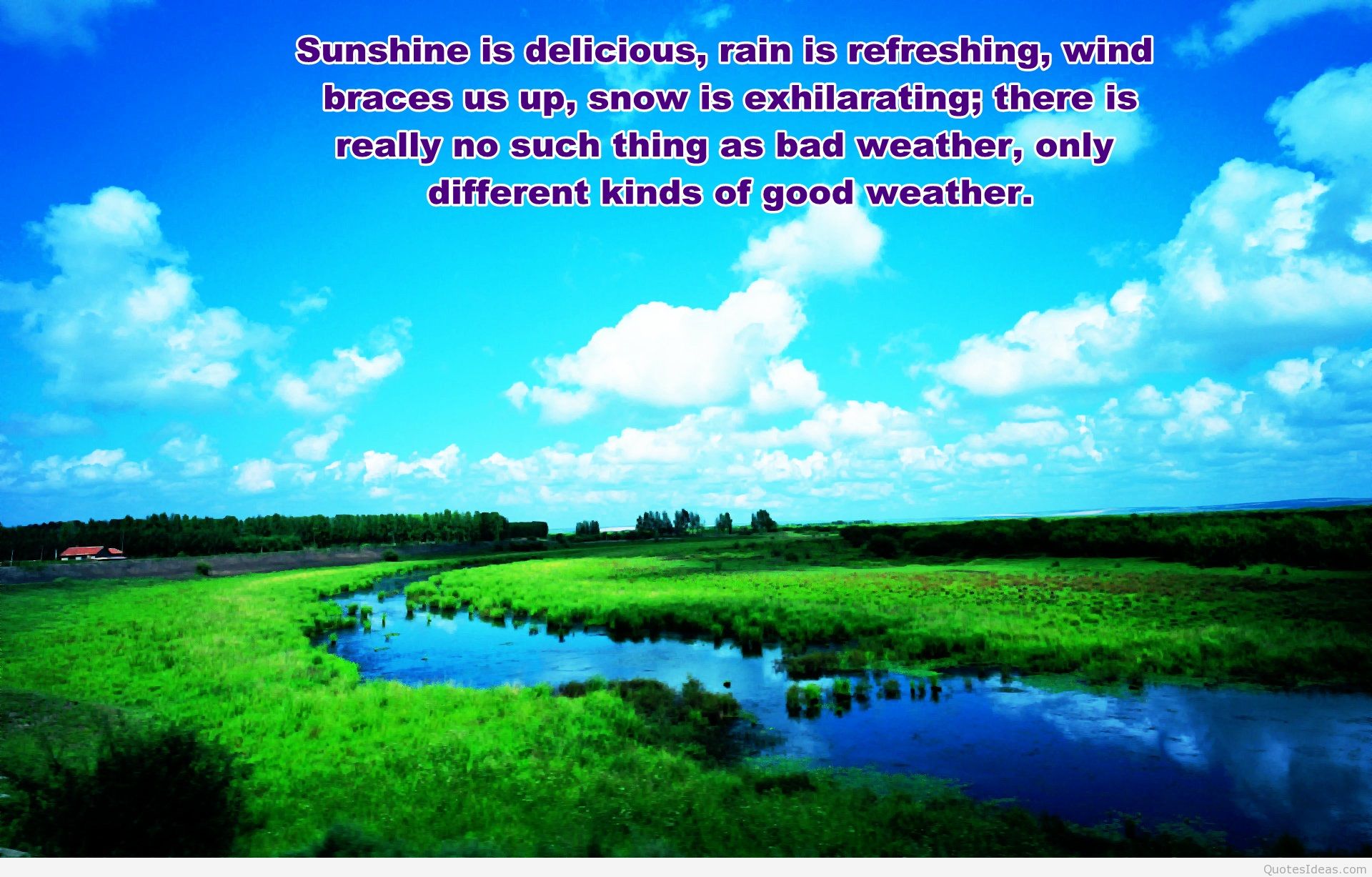 Awesome Background Nature Quote HD