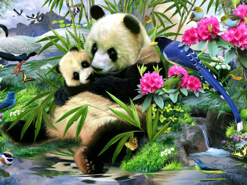 Wallpaper Sweet Panda Bears