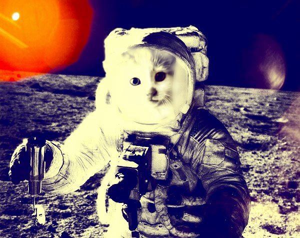 Astronaut Cat by ChoisiX
