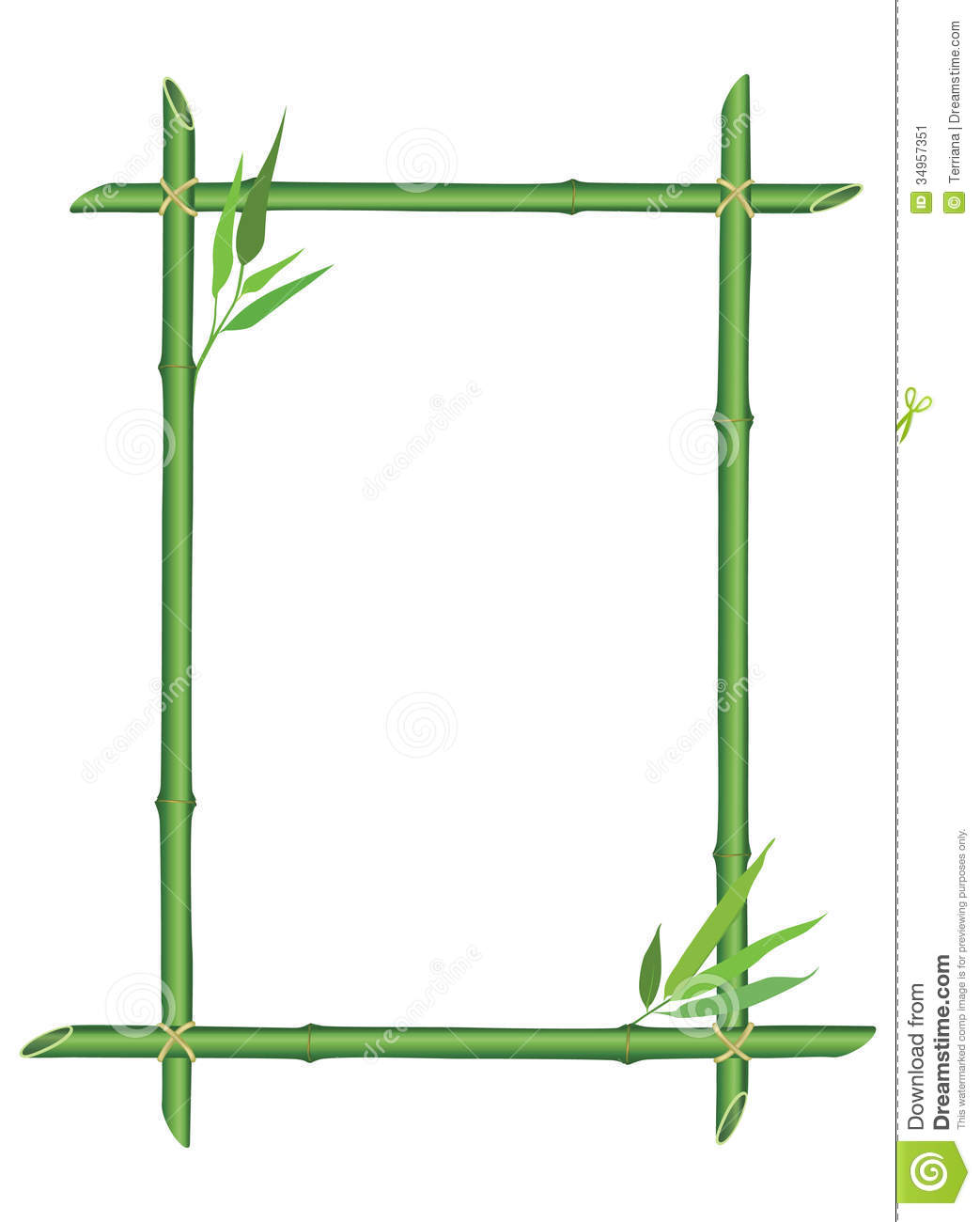 Bamboo Border Floral With Leaves Stem And Copy Space