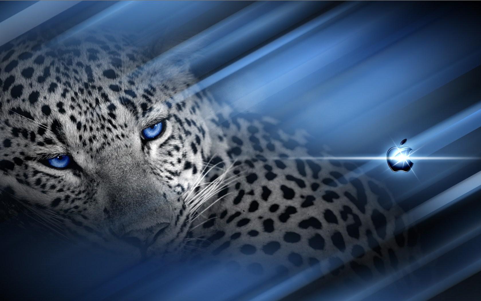 Snow Leopard Wallpaper For iPad Desktop