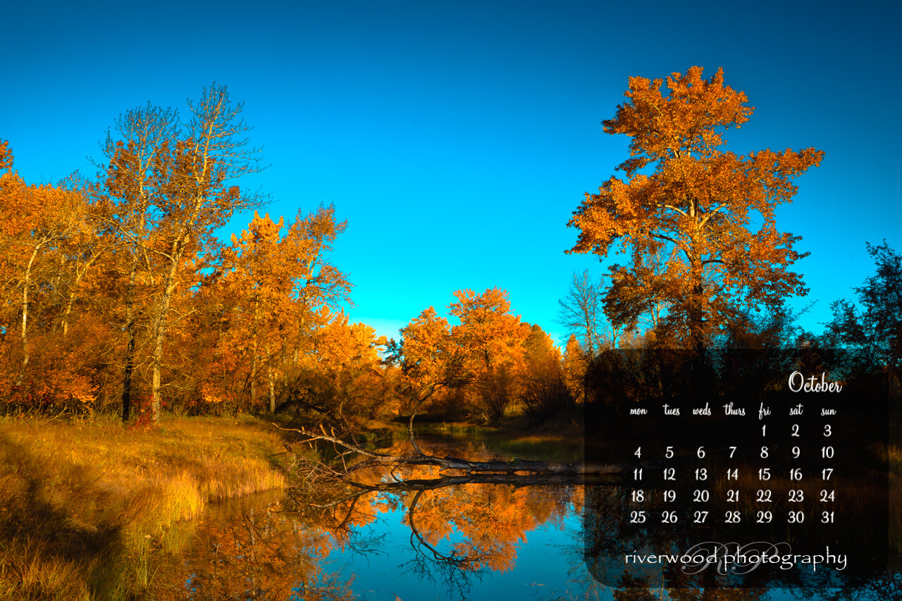 Desktop Wallpaper For October Fall Colors In Carburn Park