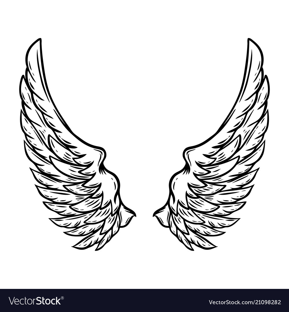 Angel wings on dark background Royalty Free Vector Image