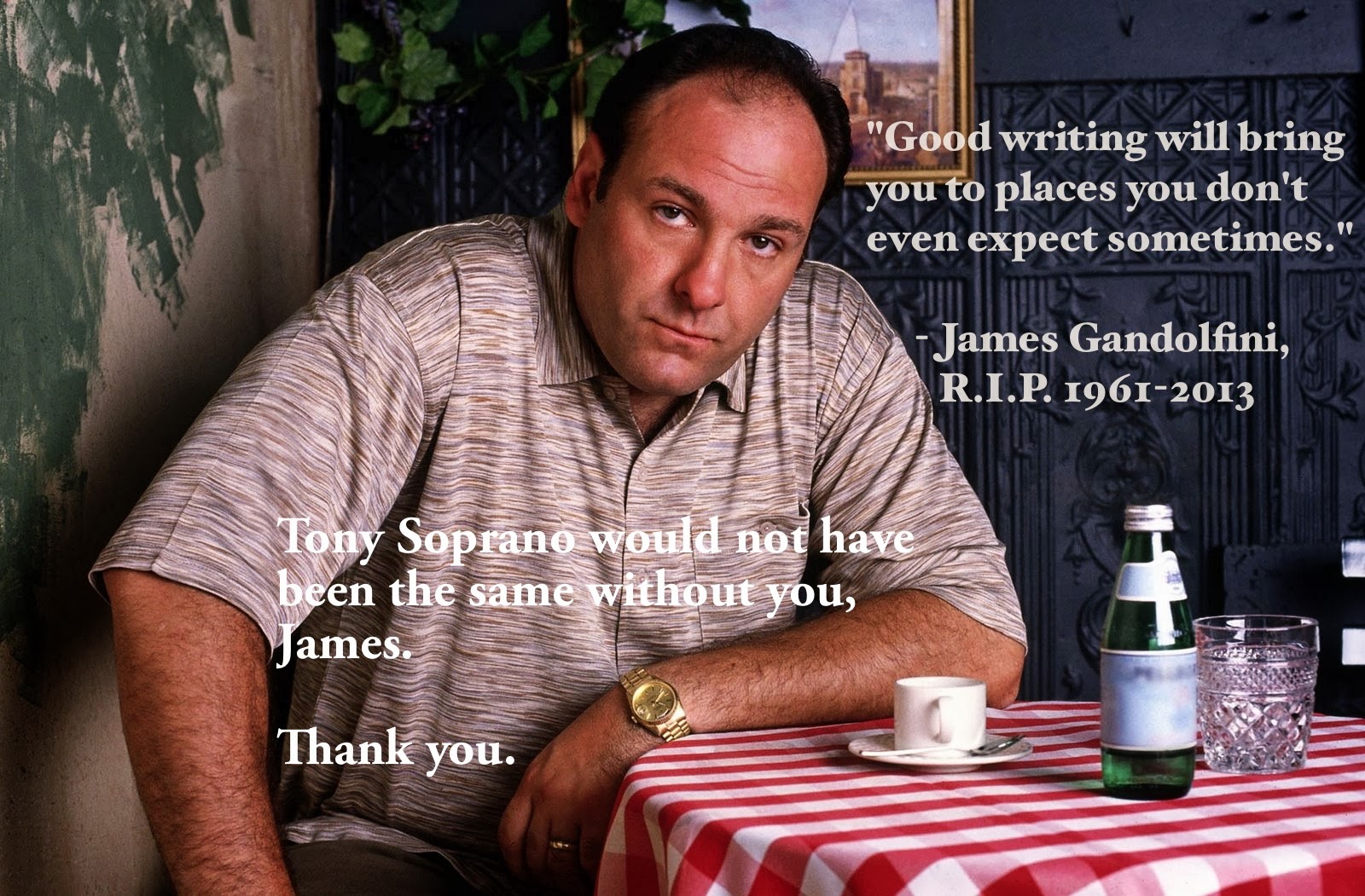 Tony Soprano Quotes R I P James Gandolfini
