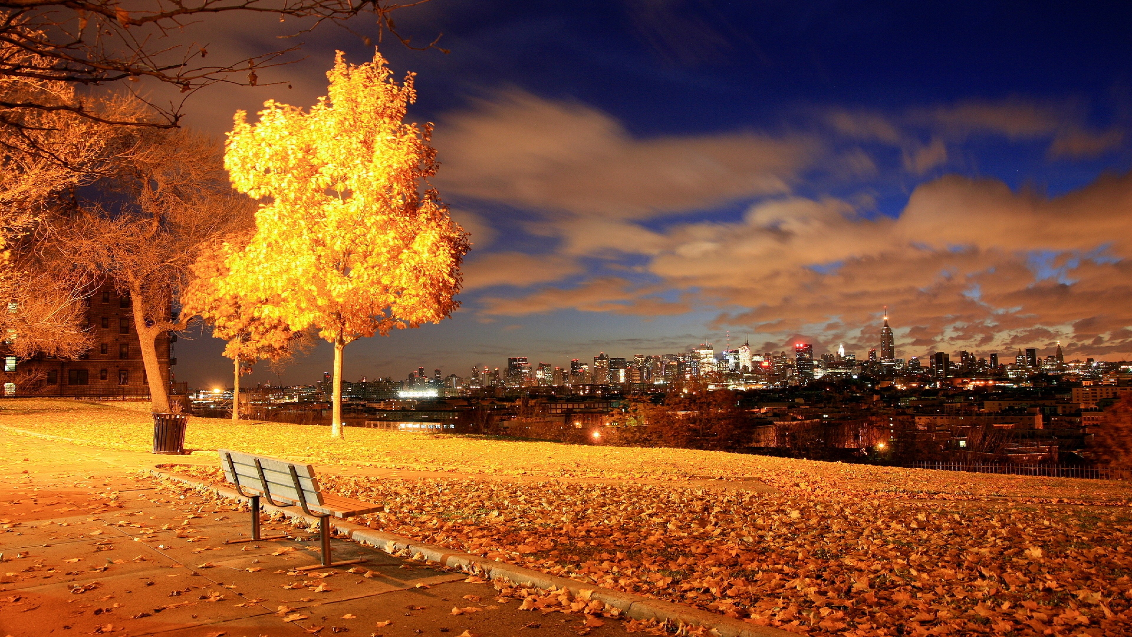 A breathtaking autumn evening scene overlooking the New York City skyline from a park, with golden leaves carpeting the ground and a brightly lit tree in the foreground