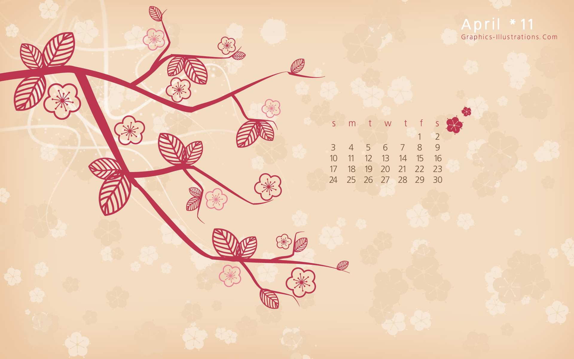 Cherry Blossom Wallpaper Border