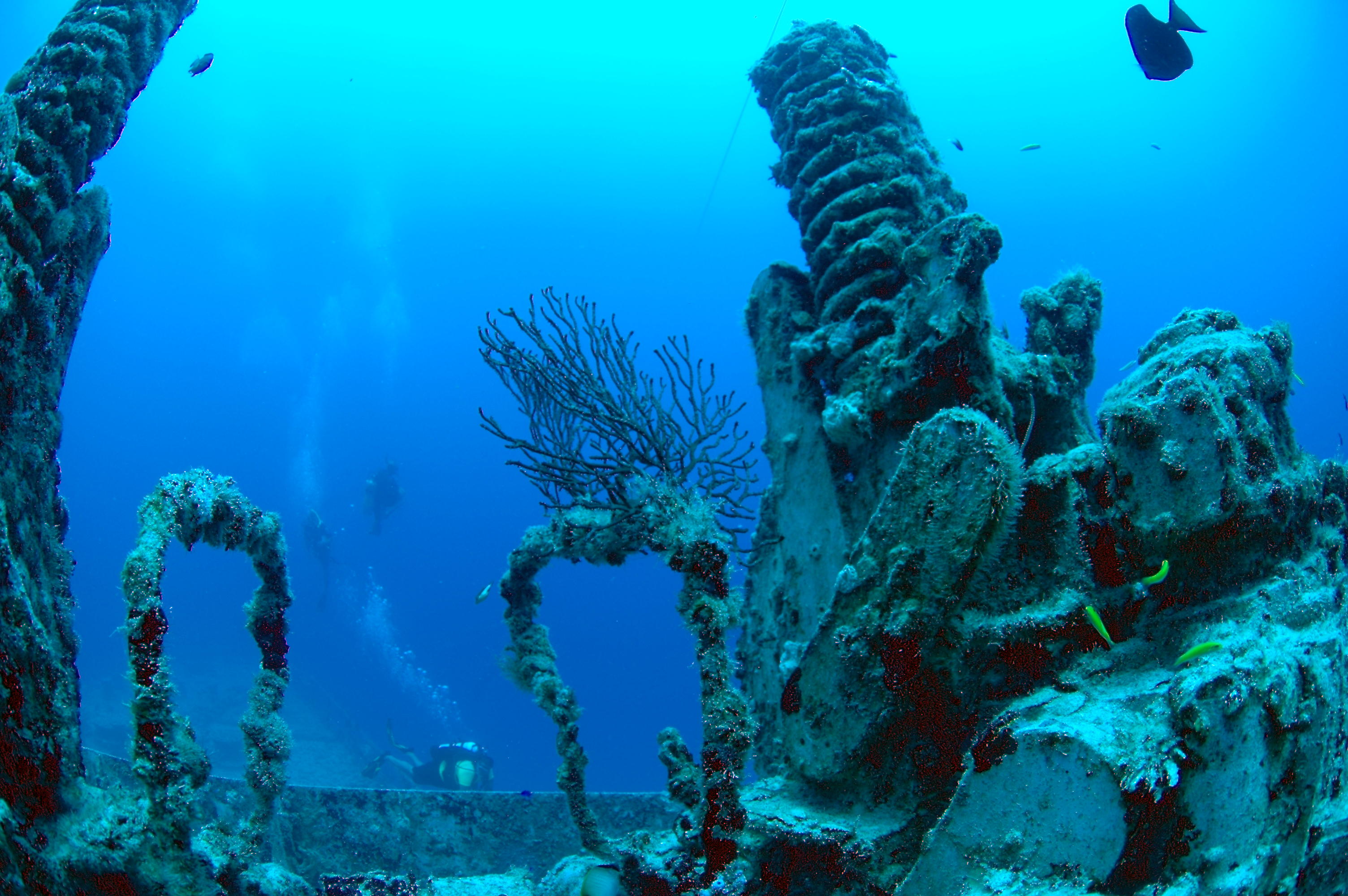Underwaters Diver Loon Blue Deep HD Wallpaper