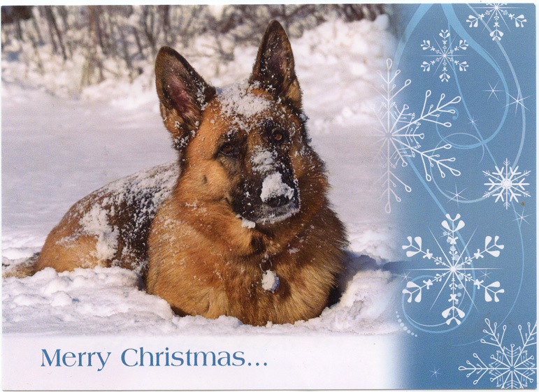Go Back Gallery For Merry Christmas German Shepherd Puppies