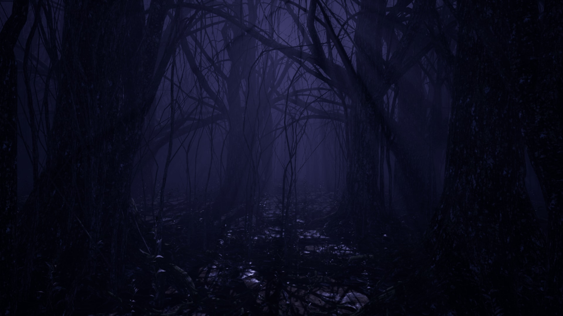 Dark Forest In Environments Ue Marketplace