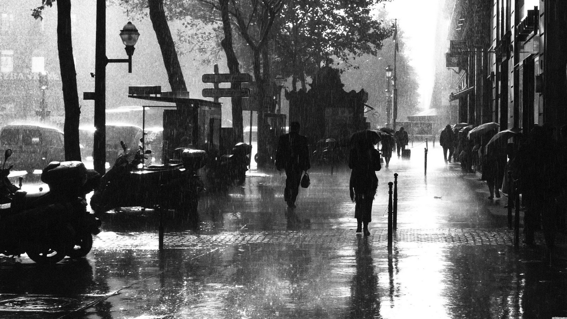 Paris France Storm Rain Wet Water Monochrome Black White Cities