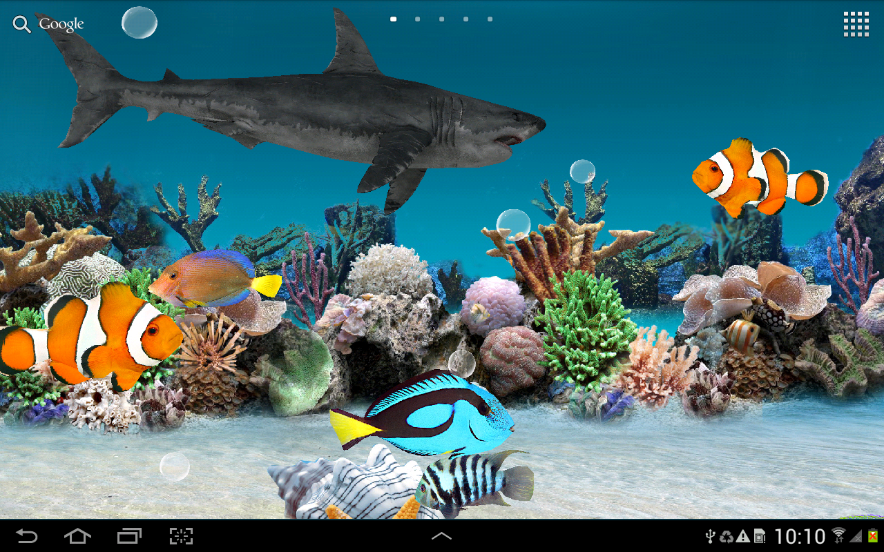 moving aquarium fish google background for mac