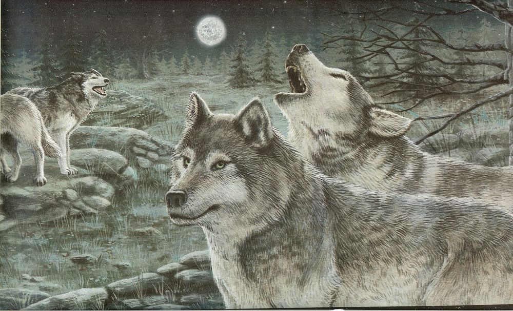 Wolves Howling At The Moon Wallpaper Border